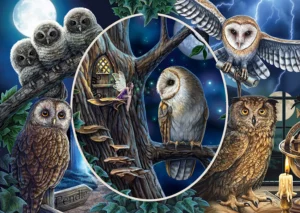 Schmidt Puzzle 1000pcs, Lisa Parker: Mysterious Owls (59667)